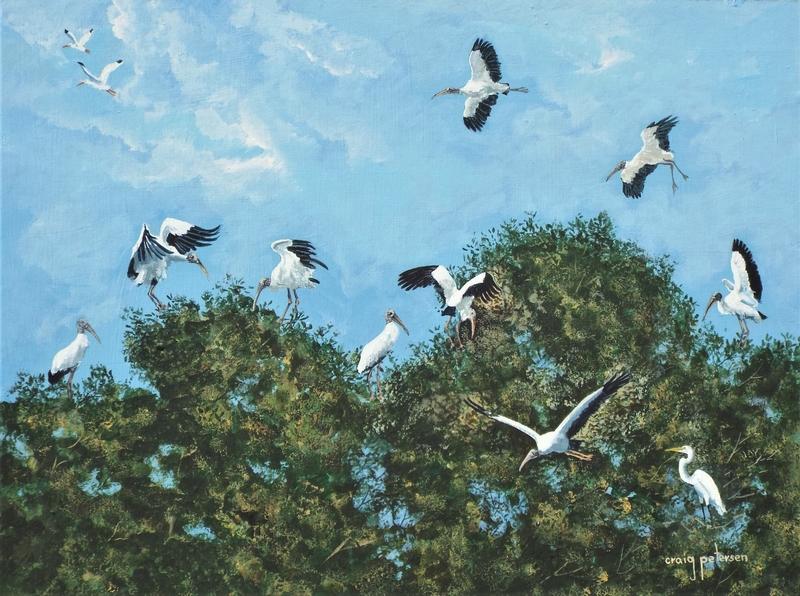 Gathering of Wood Storks